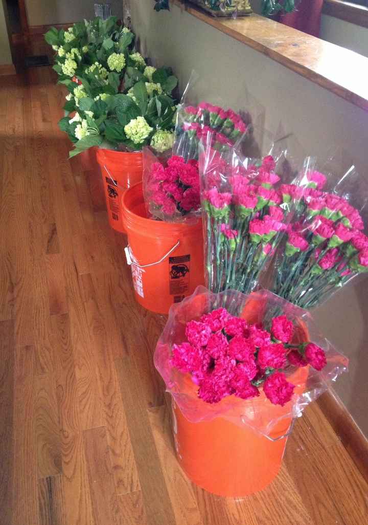 My flowers are here!