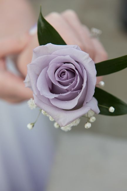 Pro photos YAY!-BAM