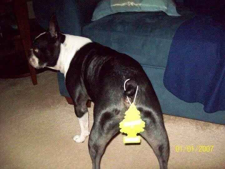 Show Me... Cheering Up!