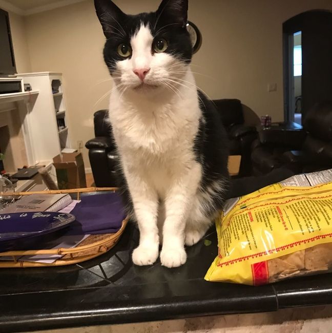 Nwr- show me your fur babies