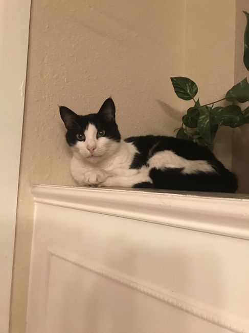 NWR:  Show me your fur babies!