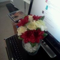 Nov 2012 Red and Black?