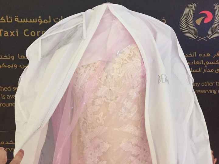 Airline lost my dress.. 4 days and counting :'( *UPDATE pg 3*