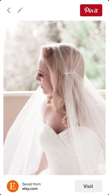 Show me your Veils