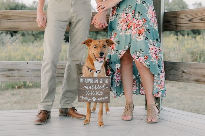 Wish i could have my dog in some of my wedding photos - 1