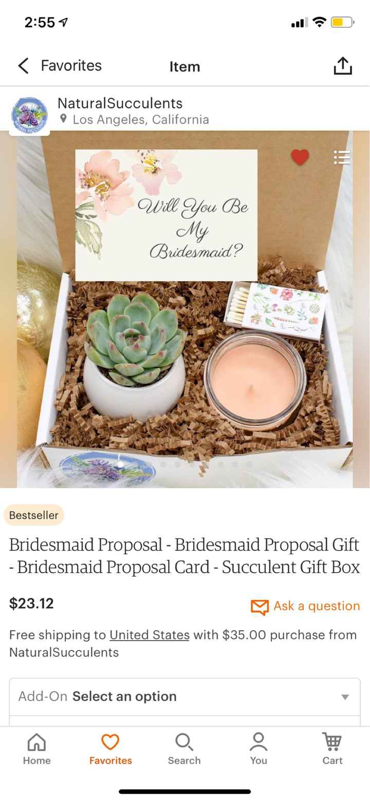 Bridesmaid Proposals - 1