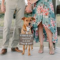 Wish i could have my dog in some of my wedding photos - 1