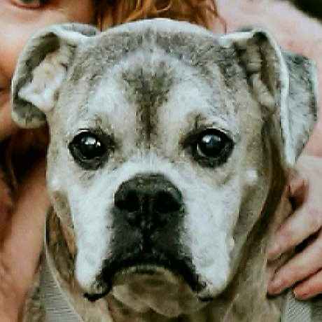  I'm just precious and I know it.