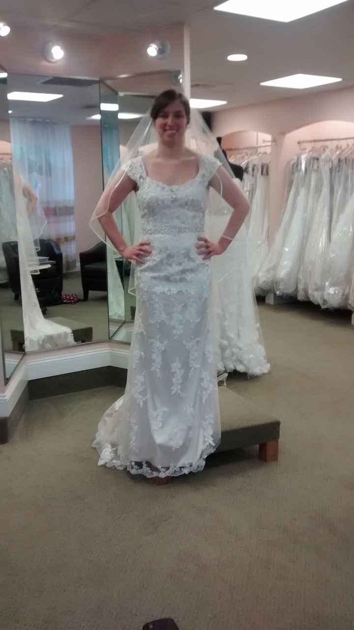 Wedding Dress Decisions