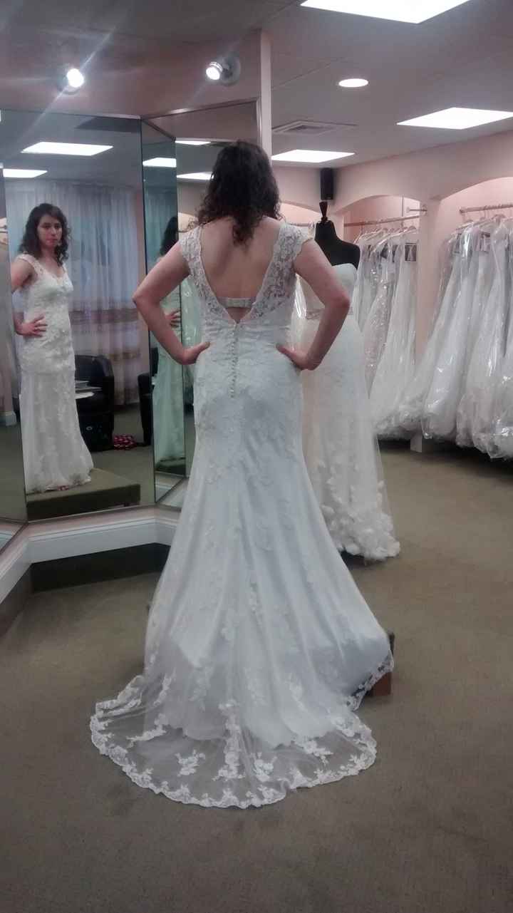 Wedding Dress Decisions