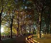 NYC wedding for less than $3,000.  Can it be done?  I need serious help