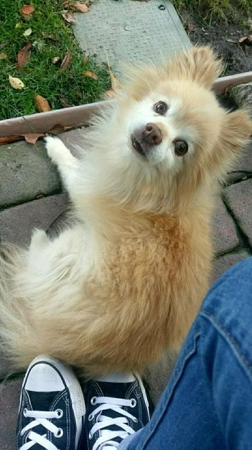NWR:  Show me your fur babies!