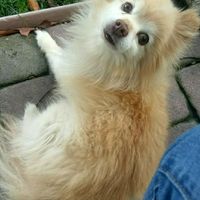 NWR:  Show me your fur babies!