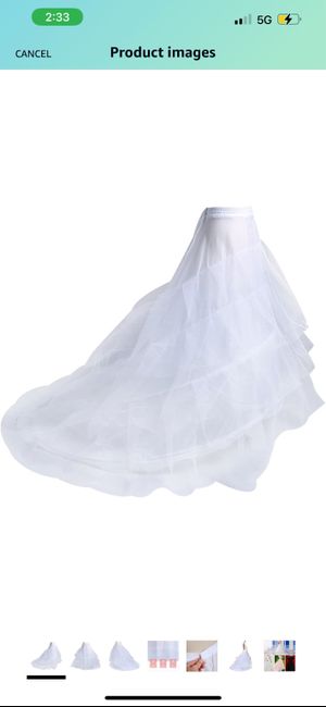 Petticoat or not? 1