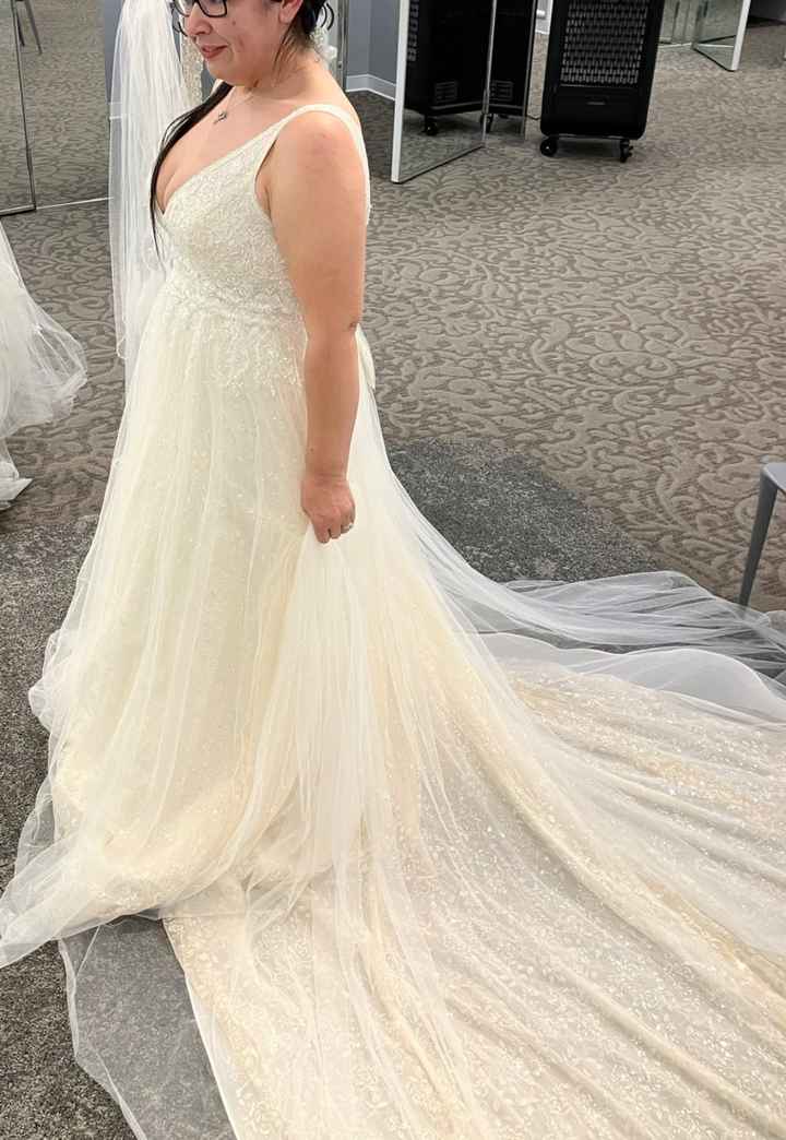 Petticoat or not? - 1