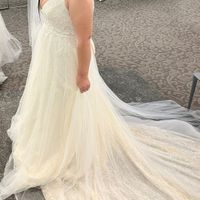 Petticoat or not? - 1