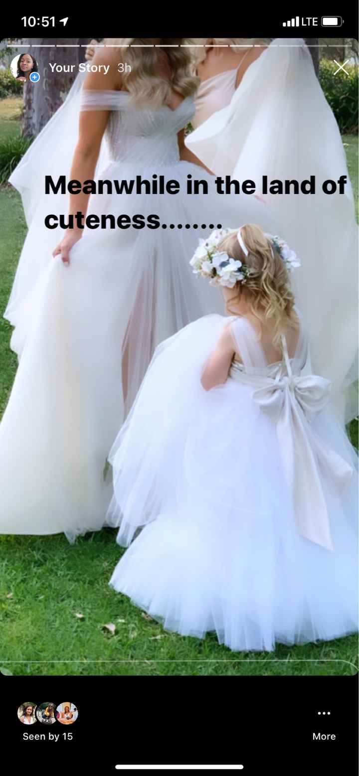 Flower girl dresses - 1