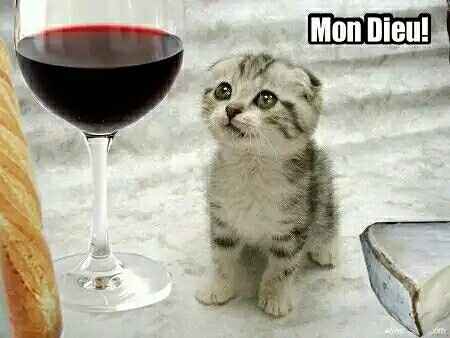 Lysol Wipe Dress Update - Trying Not to Panic!