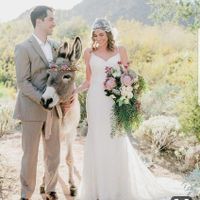 Would you hire a beer burro? - 1