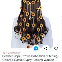 Veil or No Veil? - 1