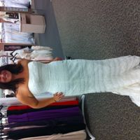 I said "Yes to the Dress!!!"--What do YOU think?