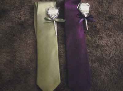 Need help finding a complimentary color for a Wine/Purple Plum