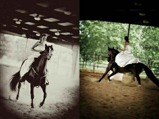 Would like to include my horse in my wedding- any advice?