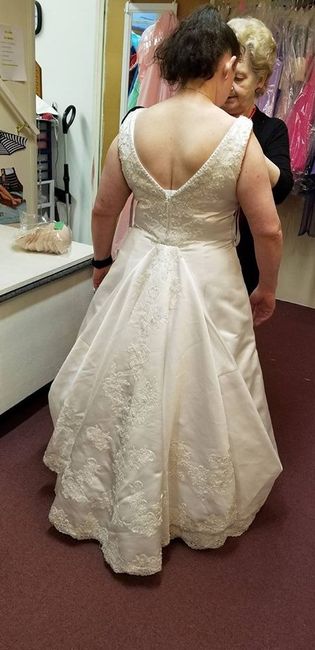 I wish I had gotten pictures of the first dress fitting!!