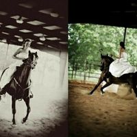 Would like to include my horse in my wedding- any advice?