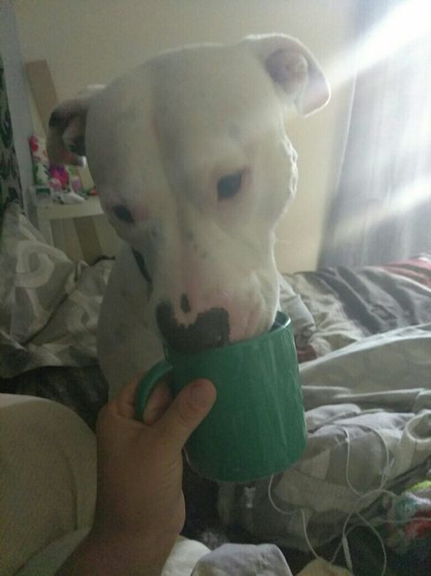 Nwr- show me your fur babies