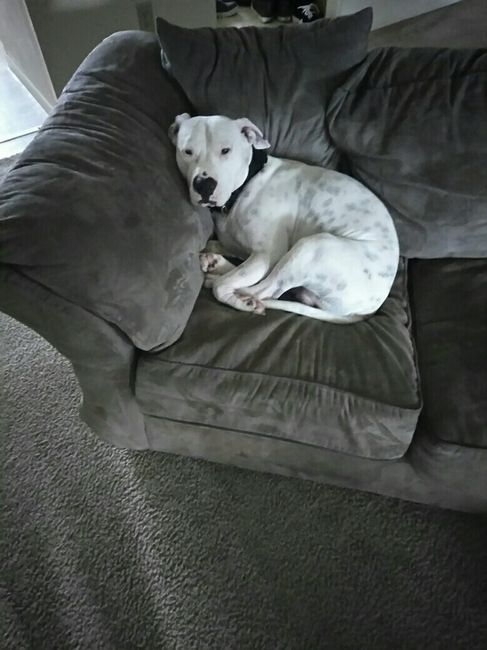 NWR: got a dog!