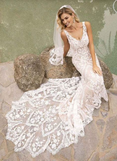 Did you end up with the dress you dreamed of? - 2