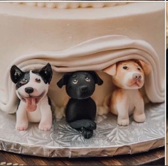 Are You Including Your Pets In Your Wedding? 🐶🐱 - 2
