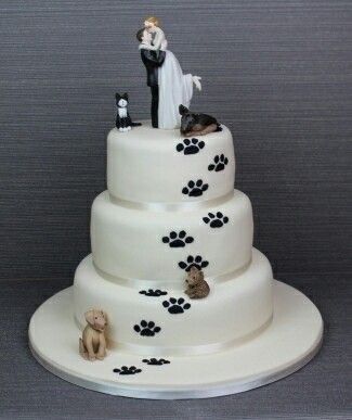 Can’t decide on cake - 2