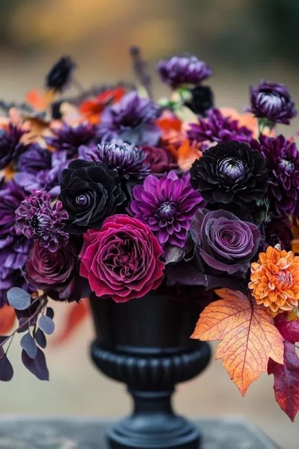 Halloween Inspo 🎃 - 2