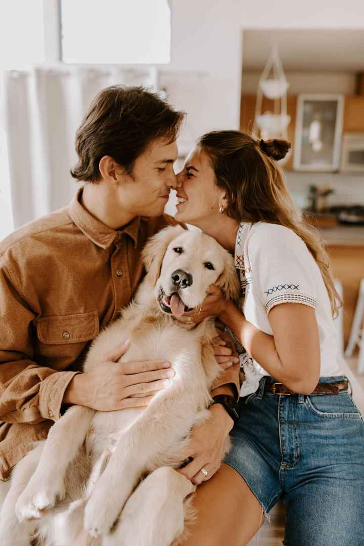 Engagement photos with your dog 3