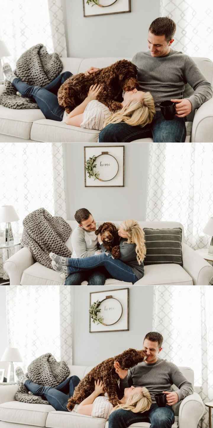 Engagement photos with your dog - 4