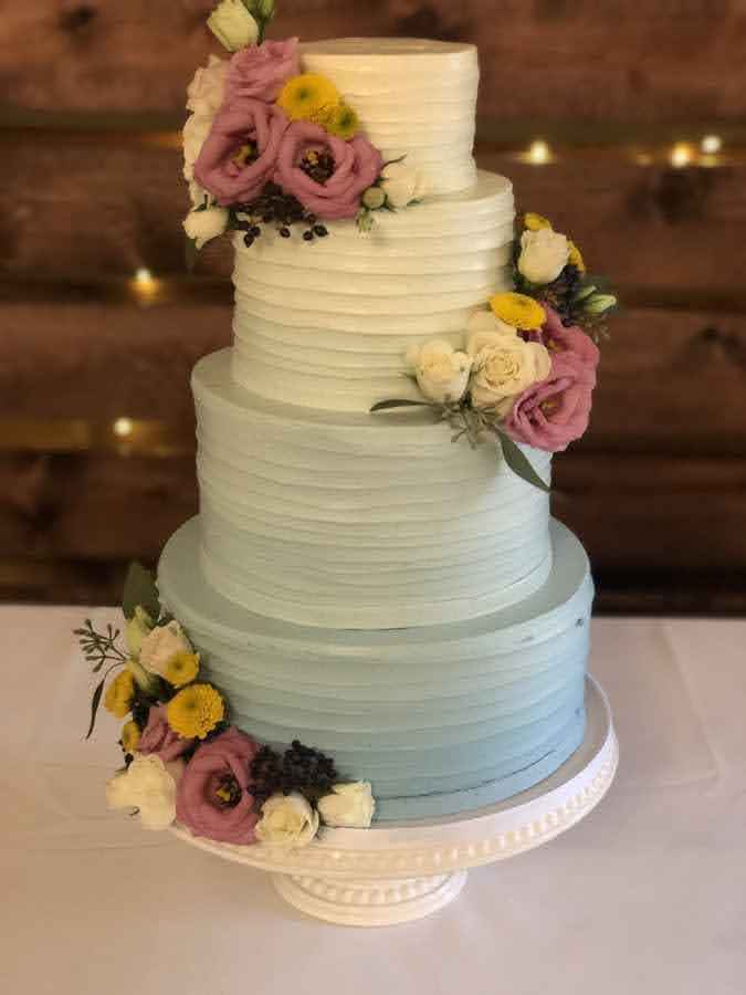 cake cake Cake! - 2