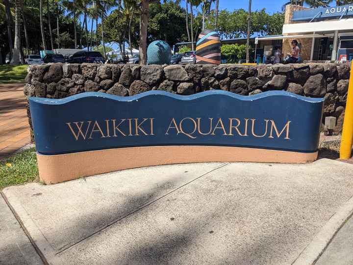 Honeymoon Photos - Part 1: Hawaii! - 6