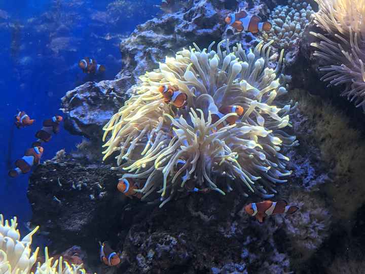 Honeymoon Photos - Part 1: Hawaii! - 7
