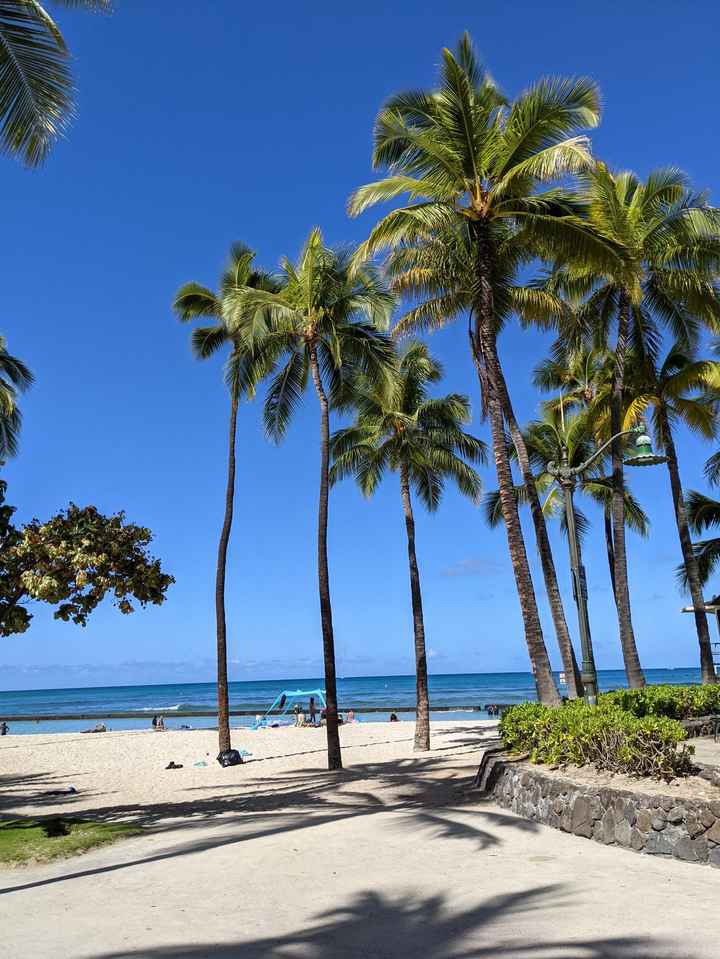 Honeymoon Photos - Part 1:  Hawaii! - 1