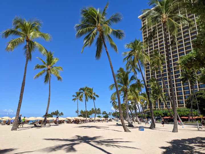 Honeymoon Photos - Part 1:  Hawaii! - 2