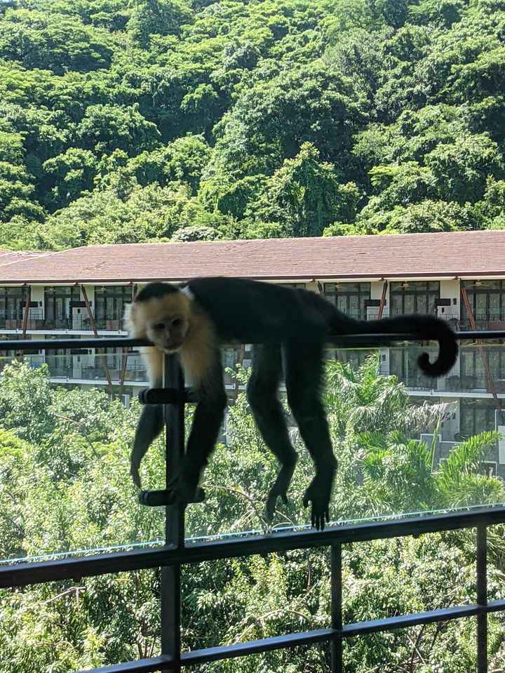 Honeymoon Photos - Part 2:  Costa Rica! - 14