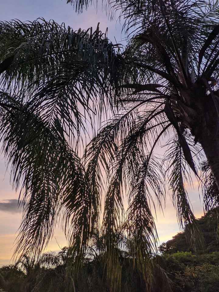 Honeymoon Photos - Part 2:  Costa Rica! - 18