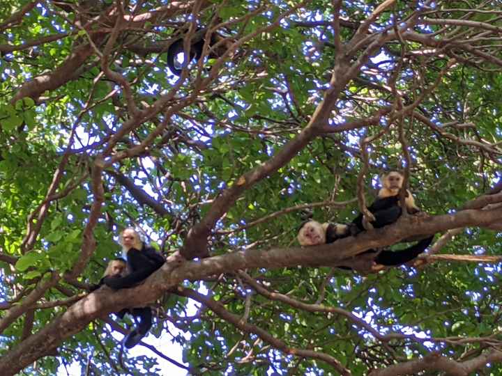Honeymoon Photos - Part 2:  Costa Rica! - 21