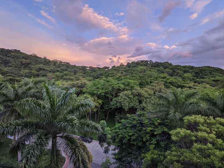 Honeymoon Photos - Part 2:  Costa Rica! - 28