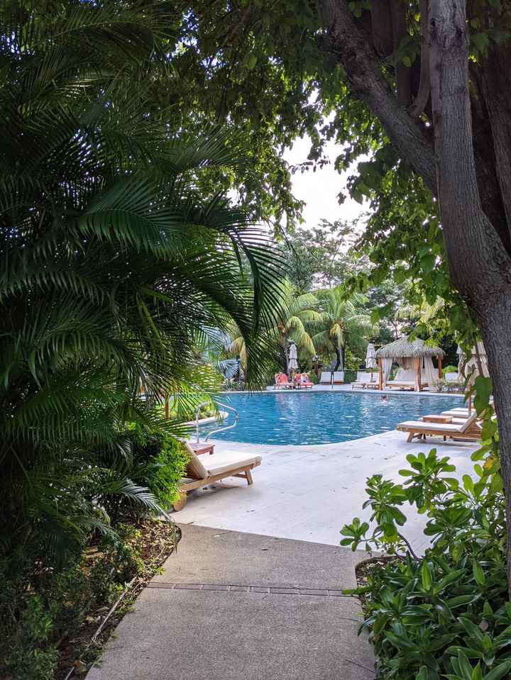 Honeymoon Photos - Part 2:  Costa Rica! - 29