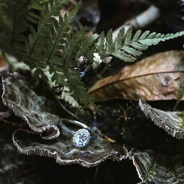 Woodland Engagement Pics