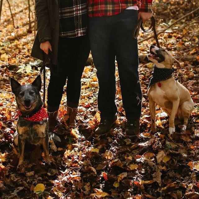 Woodland Engagement Pics