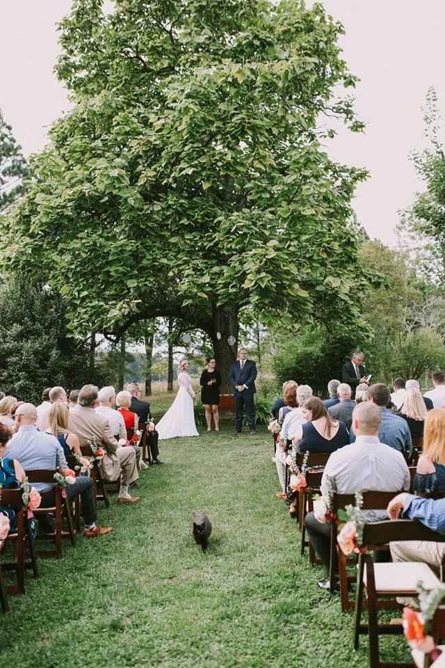 Pro Bam, Boho Backyard West Virginia Wedding